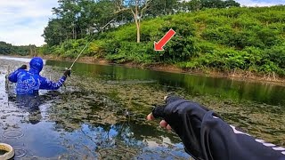 Download lagu The fish seem to be gathered there mp3