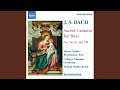 Ich habe genug, BWV 82: Aria: Ich freue mich auf meinen Tod (Bass)