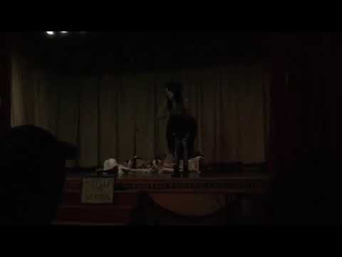 Promotional video thumbnail 2 for Ignite Entertainment Variety Show