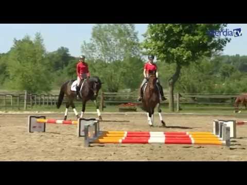 Takt, Raumgriff, Aktivität & Kadenz mit Cavaletti-Übungen verbessern | Ingrid Klimke