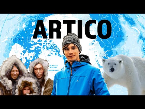 STORIES FROM THE ARCTIC ❄️