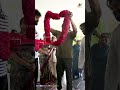 Mega Family Celebrates Pawan Kalyan Victory | IndiaGlitz Telugu - Video