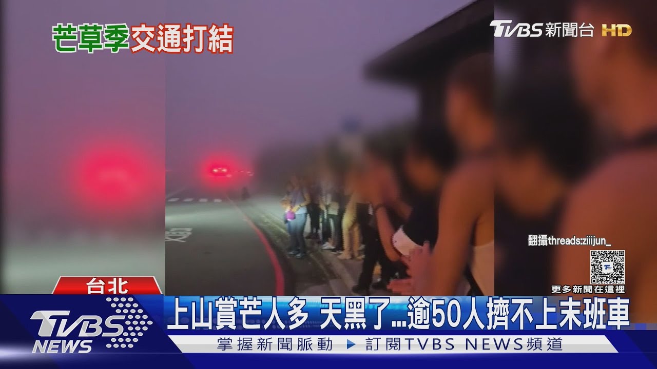 排翻! 陽明山「賞芒」亂象多 上山遇超車插隊