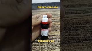 Berberis vulgaris q.#trending #viralvideo #homoeopathicmedicine #homoeopathy #kidneydisease #stone