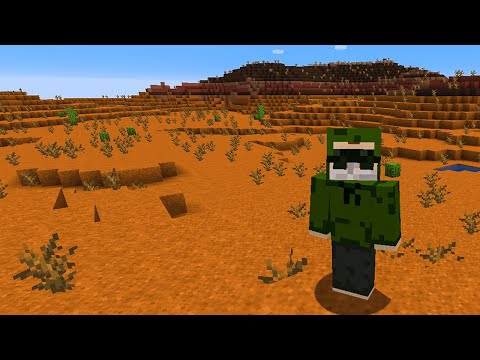 Minecraft, but the whole world is the same biome