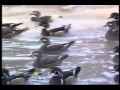 Kisan Uria (Unity of Pakistan).flv Kisan Uria (Unity of Pakistan).flv