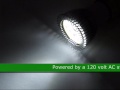31218 video review thumbnail