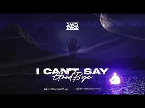 David Tango - I Can't Say GoodBye