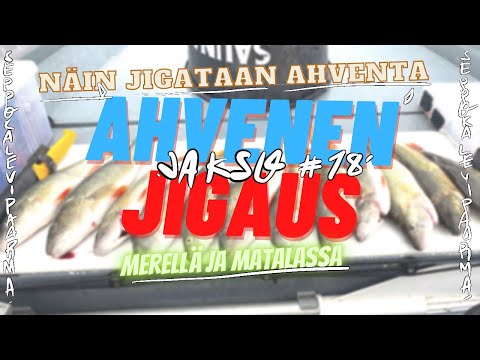 Jakso #18 Ahvenen jigausta merellä- uuden paikan kartoitusta ja kalojakin löytyi 👊🏻