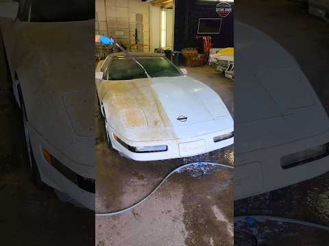 Thumbnail for Washing Abandoned Corvette 🚘💕 #DetailDane #Detailing #Satisfying #Corvette #BarnFind #AbandonedCars by Corvet, Corvett, Car