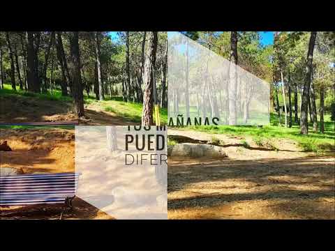 Entrenamiento al aire libre 4