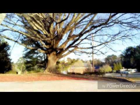 Sam F & Yntendo "All We Got" (Dance Video) by SpaceGhost Ave