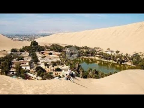 Gjelbërimi i shkretëtirës nga shenjat e Kijametit!