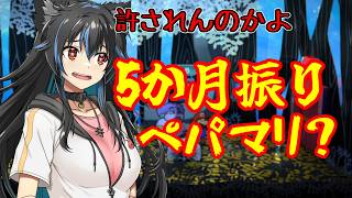 【生配信】多分5か月ぶりどころじゃないと思うペーパーマリオ