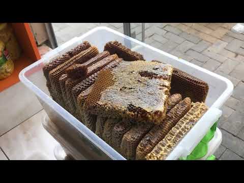 download lagu mp3 mp4 Karakovan Bal Faydalar, download lagu Karakovan Bal Faydalar gratis, unduh video klip Karakovan Bal Faydalar