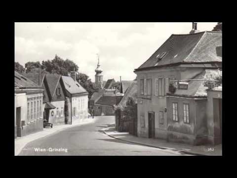 Ein Abend in Grinzing beim Heurigen Wein - Salonorchester Dol Dauber