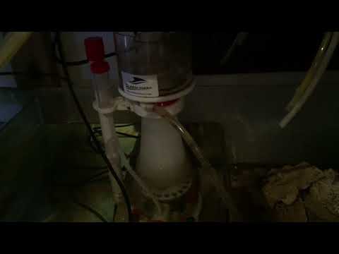 How over skimming can drain your tank!