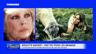 Brigitte BARDOT : L'Interview choc "Les animaux m'ont sauvé la vie"