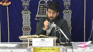 בית המדרש "תורת דוד" ¤ שידור חי ¤ א' שבט תשפ"ו (19.1.2026) (מוסדות תורת דוד) - התמונה מוצגת ישירות מתוך אתר האינטרנט יוטיוב. זכויות היוצרים בתמונה שייכות ליוצרה. קישור קרדיט למקור התוכן נמצא בתוך דף הסרטון