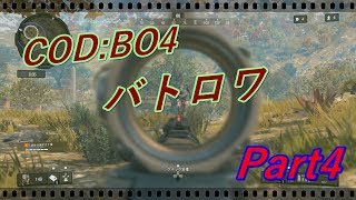 【ブラックアウト】バトロワ初心者が1位を目指して！Part4 【COD:BO4】