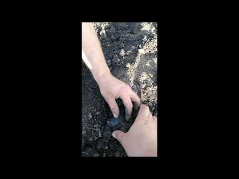 Cum am descoperit un tezaur roman compus din 330 dinari imperiali si vasul de depozitare