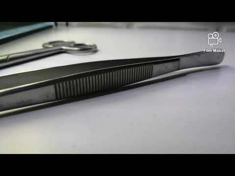 30 cm nano planted tank