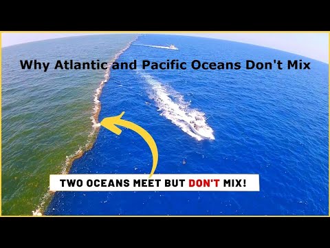 Why the Atlantic and Pacific Oceans Don't mix | Atlantic and pacific oceans don't mix #Oceans