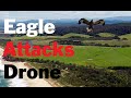 Eagle Vs Drone My Drone Attacked By An Eagle Short Video 4K