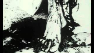 Drugzilla -  Culchiechrist