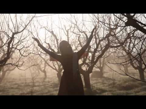 ترنيمة في طريق الجلجثة