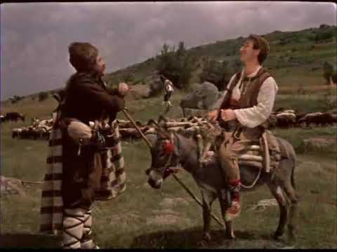 Хитър Петър (1)