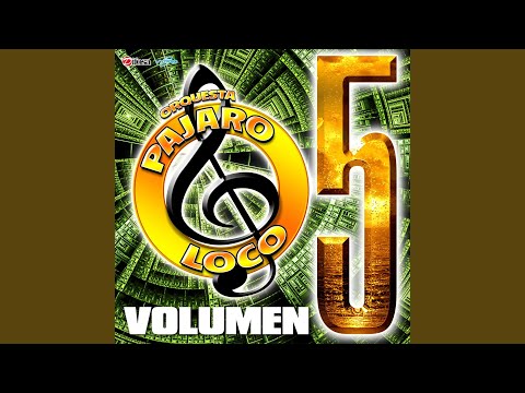 La Cumbia del Ay Ay Ay