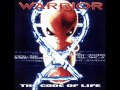 Warrior - Insignificance