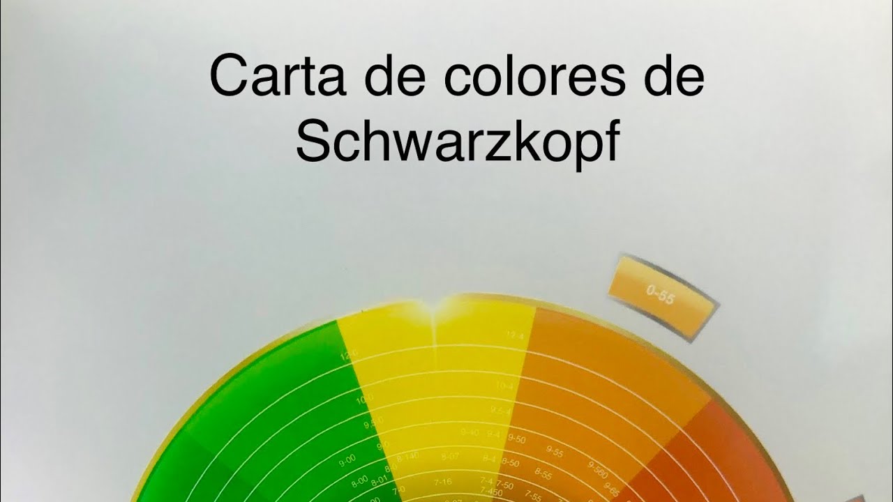 Watch schwarzkopf (como interpretar la carta) Now schwarzkopf (como interpretar la carta)