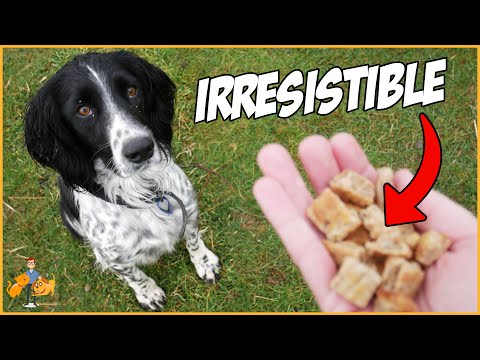 Super Tasty Homemade Dog Treats (anyone can make!)