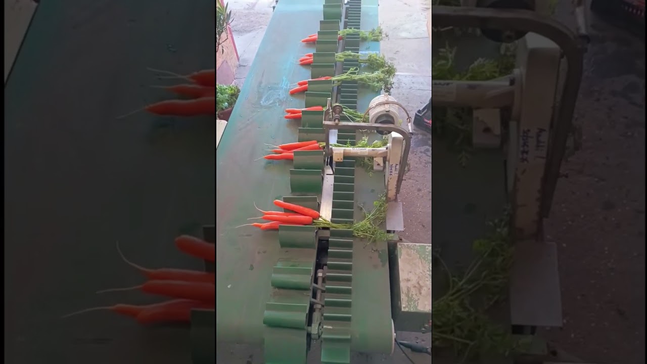 Cyklop csomózógép eladó