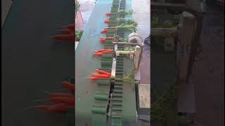 Cyklop csomózógép eladó