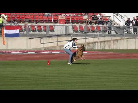 1008 Cactus della Casa Mormone - TSB BSZS-2023