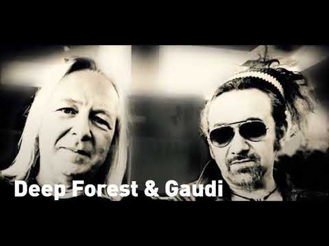 download lagu mp3 mp4 Deep Forest Epic Circuits, download lagu Deep Forest Epic Circuits gratis, unduh video klip Deep Forest Epic Circuits