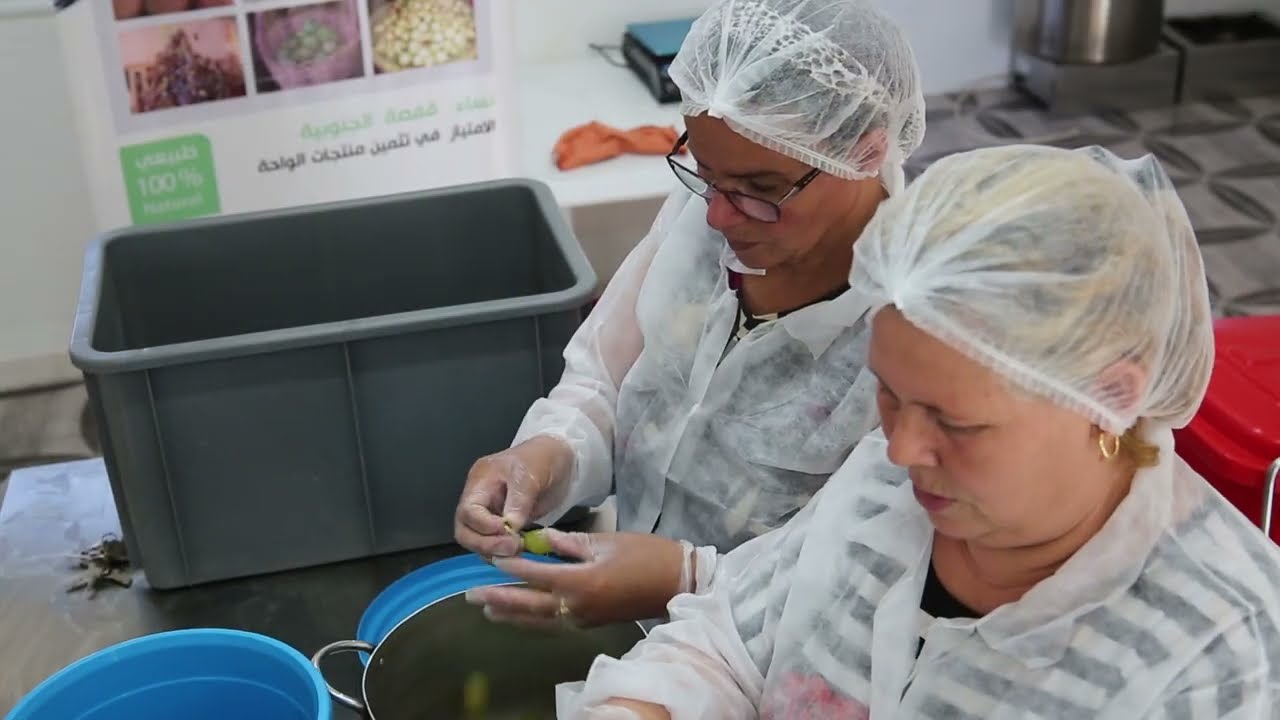 ILO Tunisia documentary film