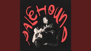 Dry Food (Live)