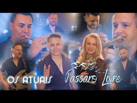 Pássaro Livre - Os Atuais