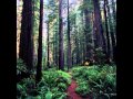 Carbon Based Lifeforms - Central Plain 