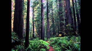 Carbon Based Lifeforms - Central Plain