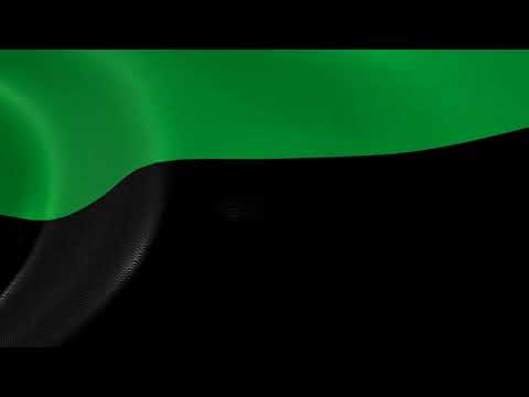 Flag of Barrancas La Guajira