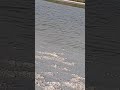 channel