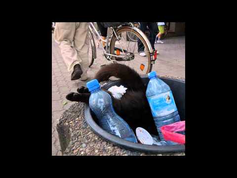 Pakt Potrzeb ( Duchu & RaV & Przemas RCH ) - Chwila Inspiracji