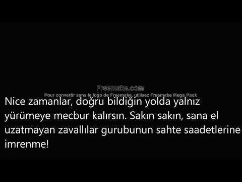 Zübeyir Gündüzalp Sana gülmek yasaktır dostum Bahaddin Balı