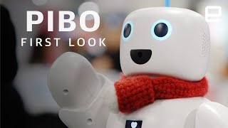 PiBo first look at CES 2020
