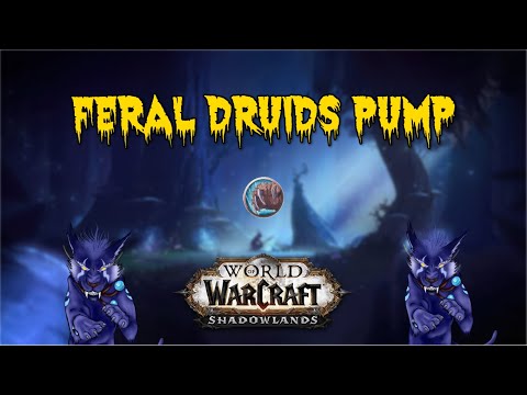 Feral Druid Mythic Plus Guide/Build Shadowlands 9.0.2